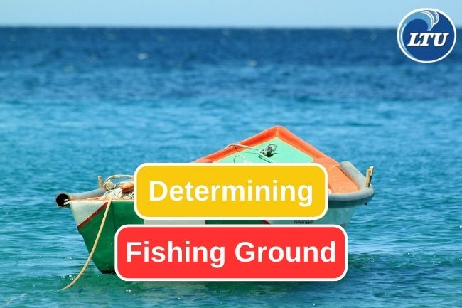 Do This 5 Things To Find Great Fishing Ground